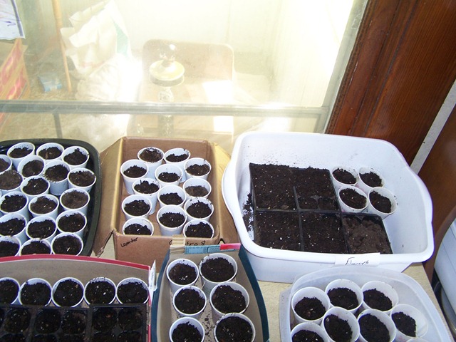 Homeschool Workboxes in the Garden