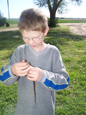 Nature Study Tuesday—May 4