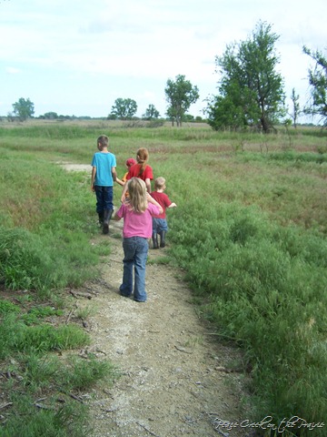 Weekly Wrap Up—Testing Curriculum Samples, End of Year Evaluations, Extreme Nature Walk
