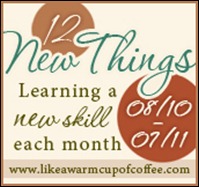 Twelve New Things—Things I want to do over the next year
