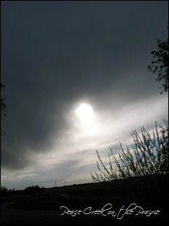 DSCN6801