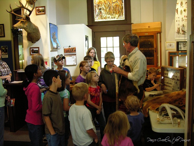Fall Field Trip Frenzy