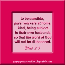 Life as a Frazzled Mom~Not Worth It