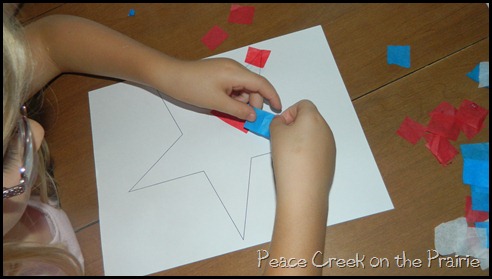 Putting Tissue on the Star Craft 