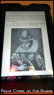 Heritage History Illustration Example on Tablet