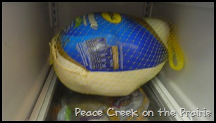 Thawing Turkey
