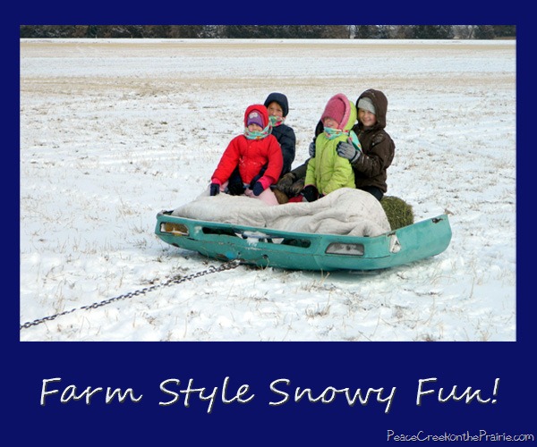 Snowy Fun Farm Style