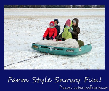 Farm Style Snow Fun