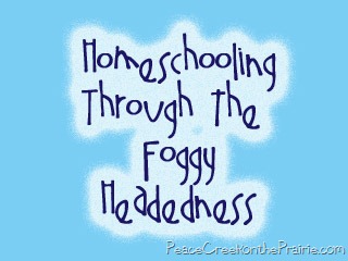 Homeschooling-Through-the-Foggy-Headedness.jpg