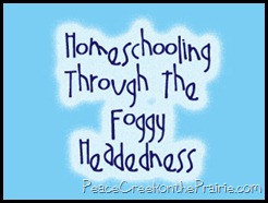 Homeschooling Through the Foggy Headedness