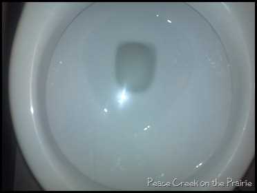 2013-03-13_15-31-44_557
