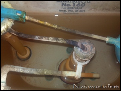 Hard Water Stains in Toilet Tank