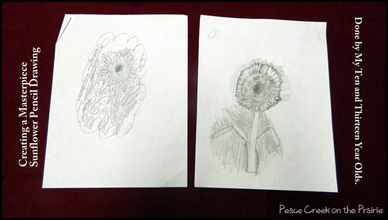Creating a Masterpiece Sunflower Pencil Drawing