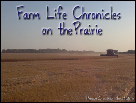 Farm Life Chronicles on the Prairie
