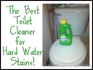 Toilet Cleaner and Declogger in One