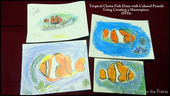 Tropical Clown Fish Done with Colored Pencils Using Creating a Masterpiece DVDs