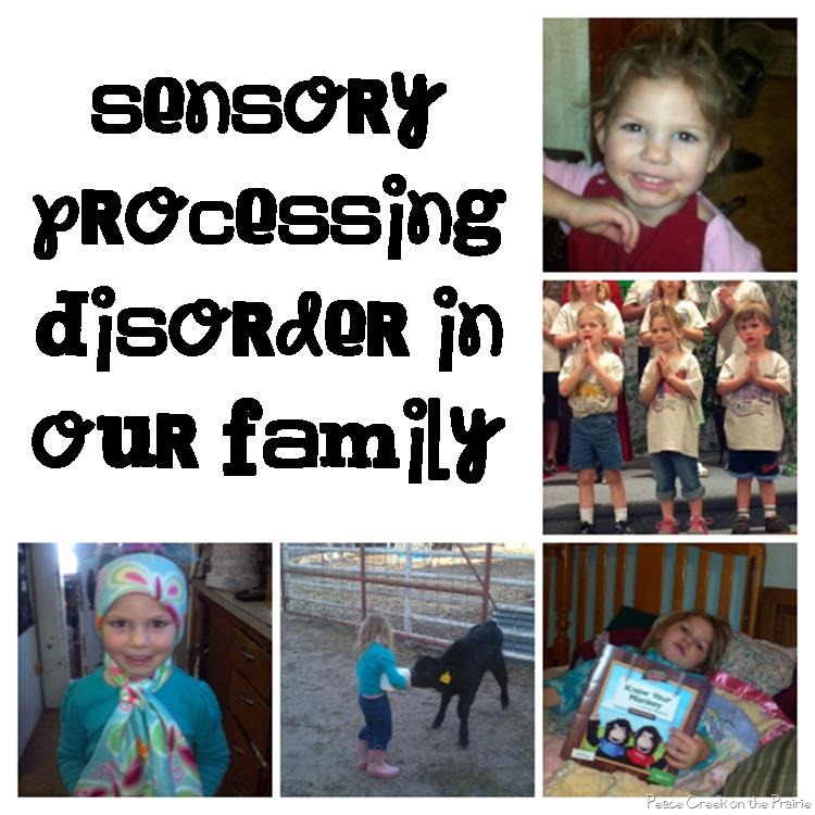 Sensory Processing Disorder in Our Family