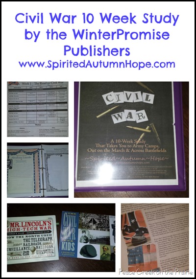 Winter Promise Episodes in American History: Civil War ~Review