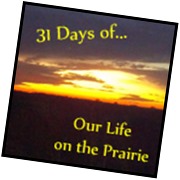 Thirty-One Days of Our Life on the Prairie Day 3