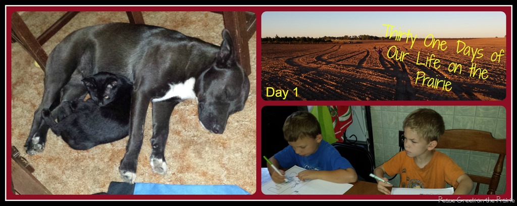 Thirty-One Days of Our Life on the Prairie Pictures