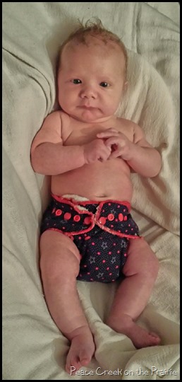 Red, White and Blue Patriotic Diaper 