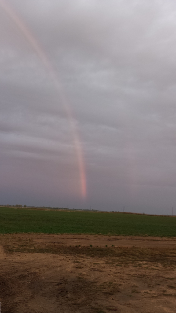 A Look into Our FarmLife…