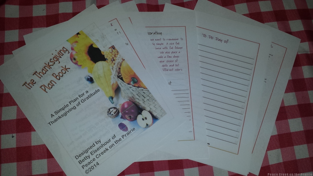 Using The Thanksgiving Plan Book in your planner.