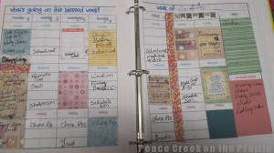 Decorating your weekly planner can bring a smile every time you look to see what you need to do.  