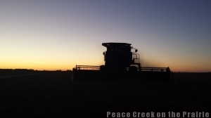 Cutting soybeans as the sky turns to a beautiful twilight.