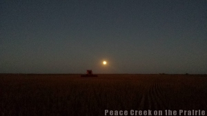 Combine cutting soybeans as the moon rises behind it. 