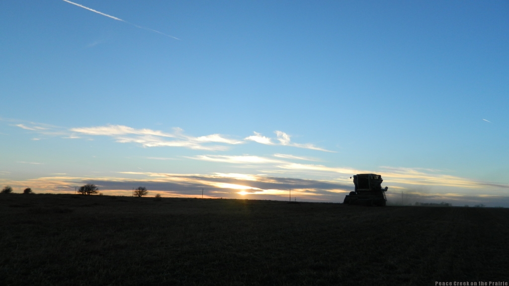 FarmLife Tuesday Dec. 2