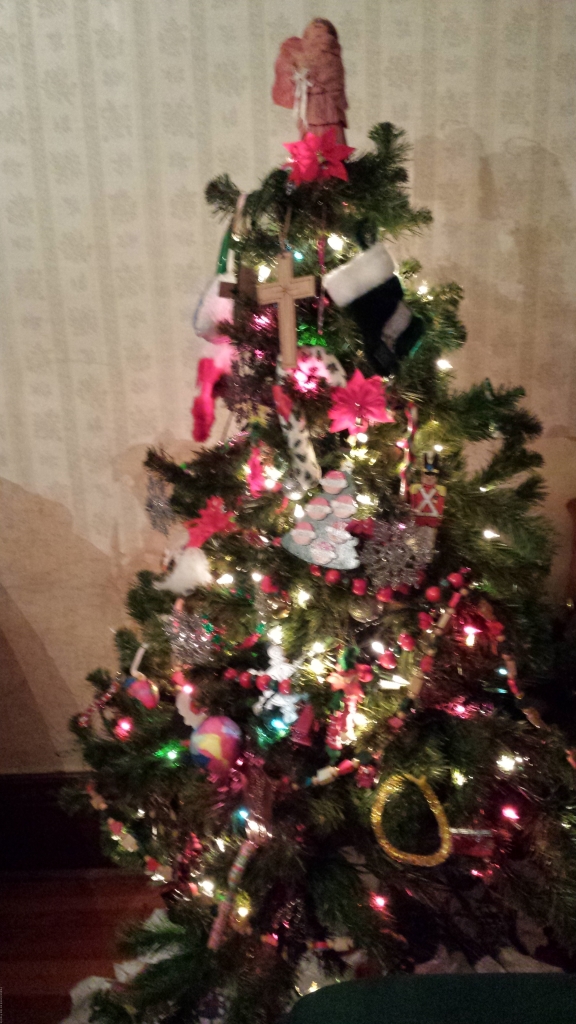 We got our Tree Decorated and up. 