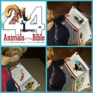 44 Animals of the Bible Review from Betty at Peace Creek on the Prairie, one of the Moms of Masterbooks