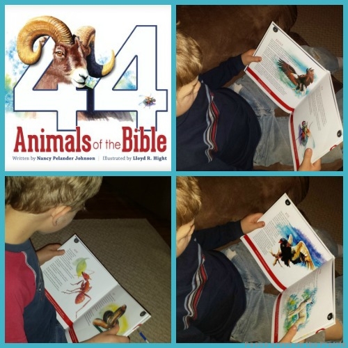 44 Animals of the Bible  Review