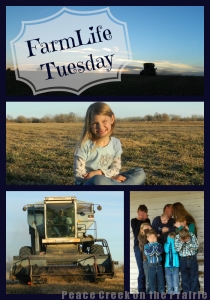 FarmLife Tuesday will give you a look into our lives on the farm.  From homeschooling, to homemaking, and beyond. 