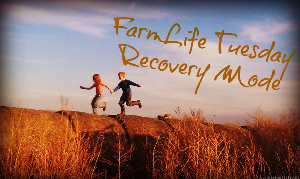 FarmLife Tuesday~Recovery Mode