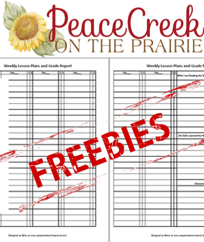 Freebie for Subscribing