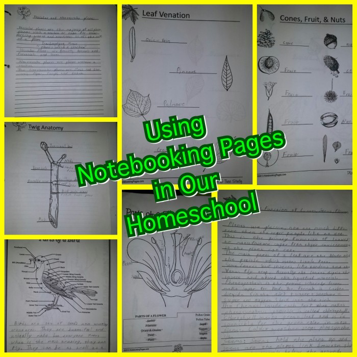 How We Use Notebooking Pages