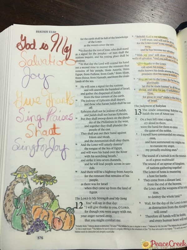 ESV Journaling Bible 