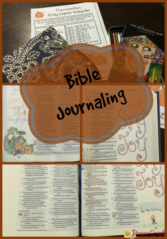 ESV Journaling Bible Giveaway