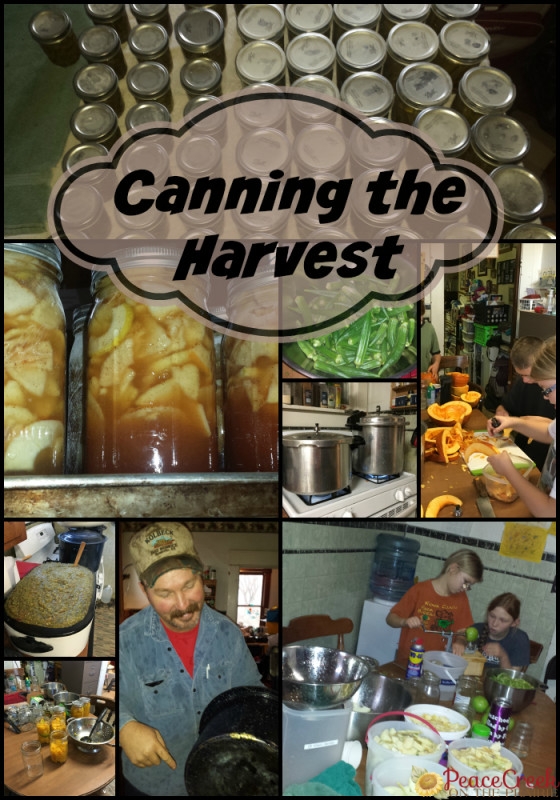 Canning the Harvest