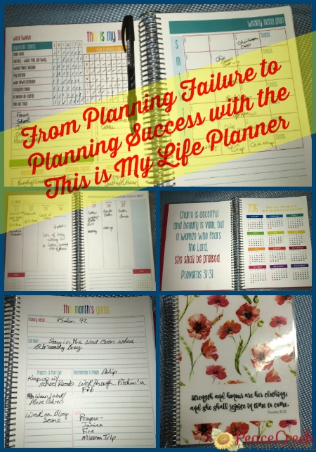 From Planning Failure to Planning Success