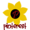 Follow Us on Pinterest