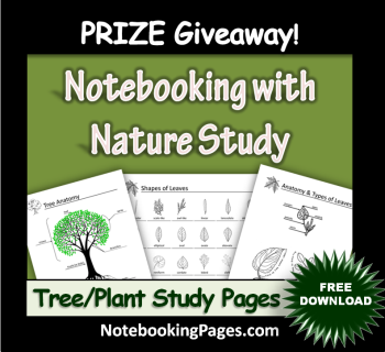 Free Tree and Plant Nature Study Pages