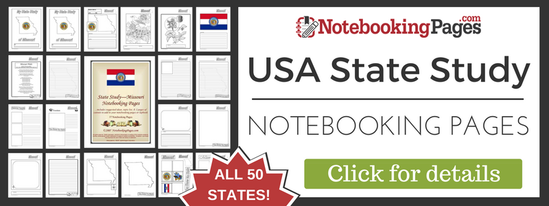 USA State Study Notebooking Pages